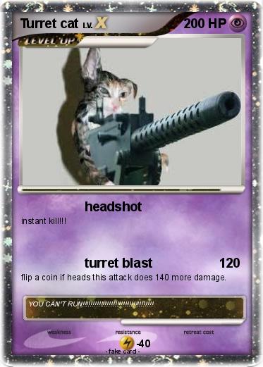 Pokemon Turret cat