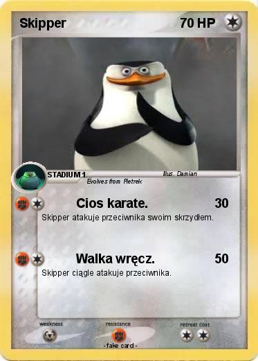 Pokemon Skipper