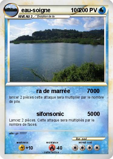 Pokemon eau-soigne             100