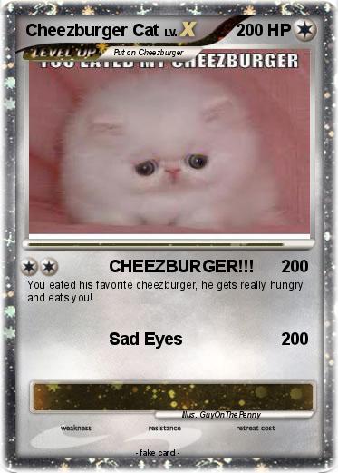 Pokemon Cheezburger Cat