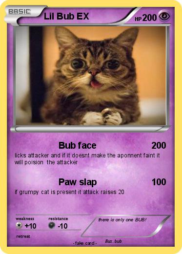 Pokemon Lil Bub EX