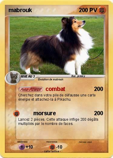 Pokemon mabrouk