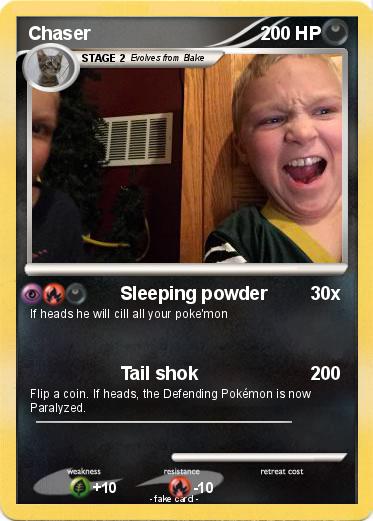 Pokemon Chaser