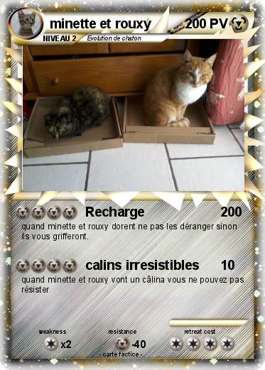 Pokemon minette et rouxy