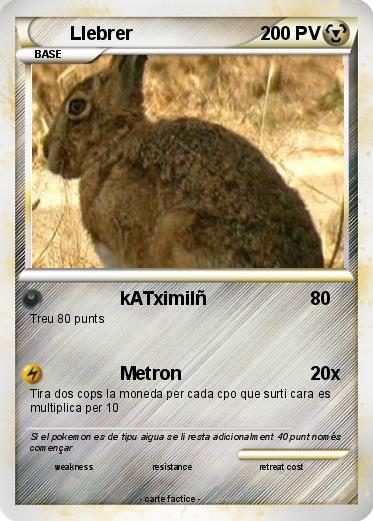 Pokemon Llebrer
