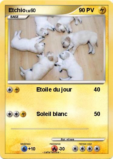 Pokemon Etchio