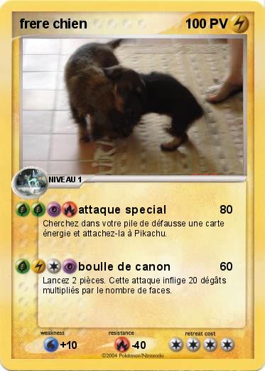 Pokemon frere chien