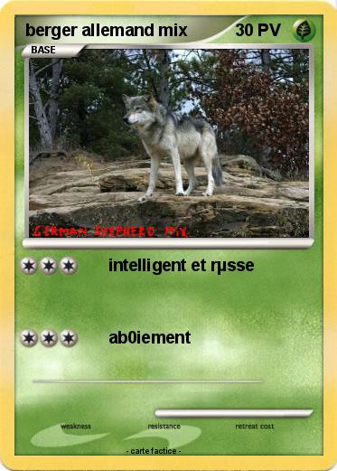 Pokemon berger allemand mix