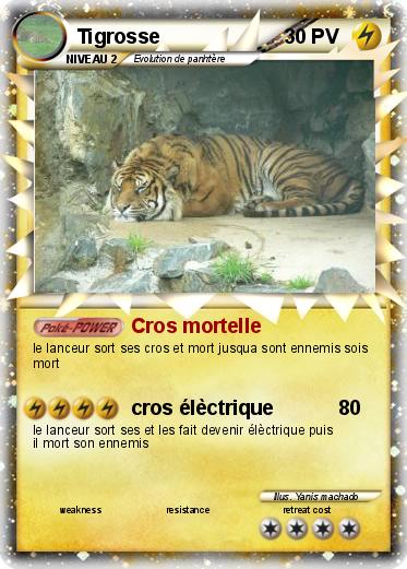 Pokemon Tigrosse