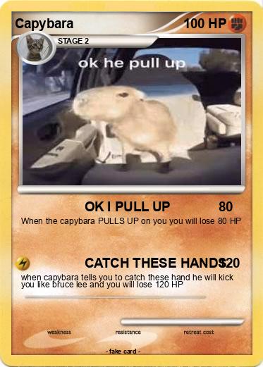 Pokemon Capybara