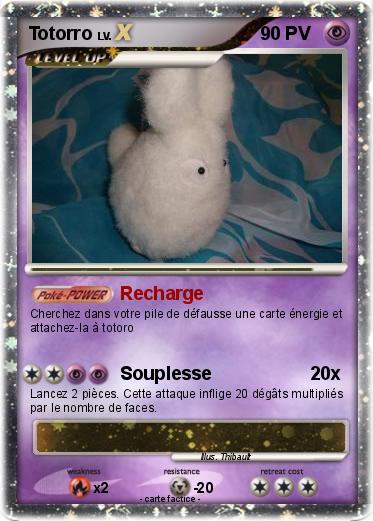Pokemon Totorro