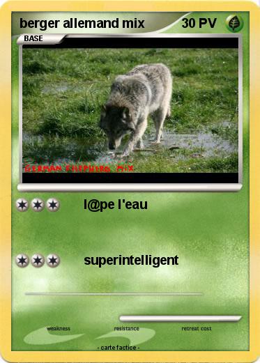 Pokemon berger allemand mix