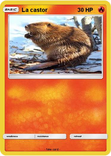 Pokemon La castor