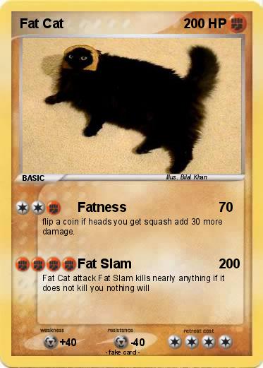 Pokemon Fat Cat