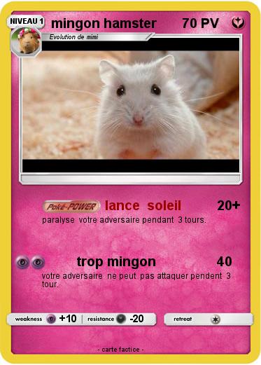 Pokemon mingon hamster
