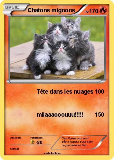 Pokemon Chatons mignons