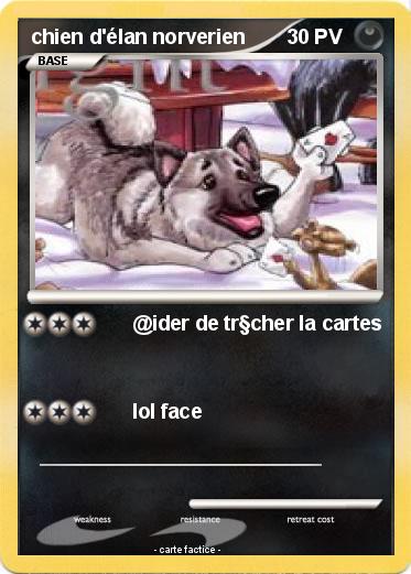 Pokemon chien d'élan norverien