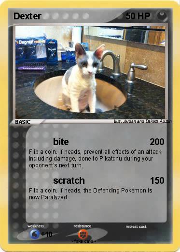Pokemon Dexter