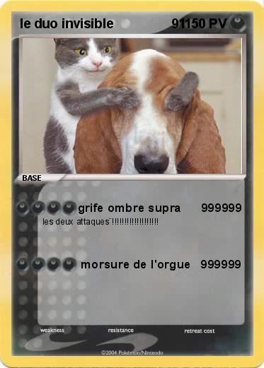 Pokemon le duo invisible                91 