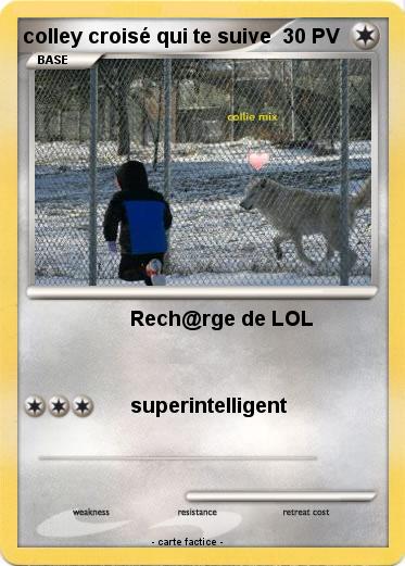 Pokemon colley croisé qui te suive