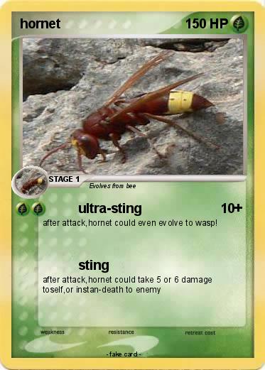 Pokemon hornet