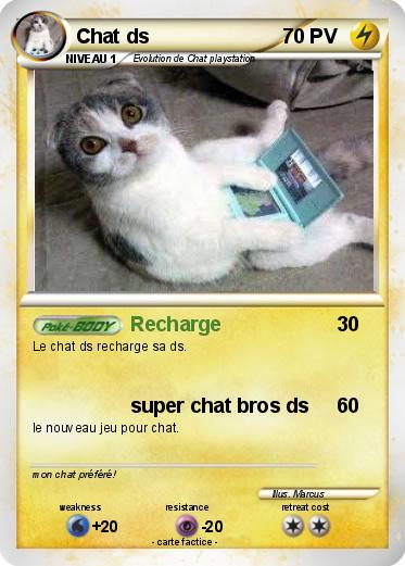 Pokemon Chat ds
