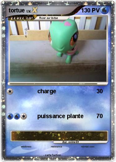 Pokemon tortue