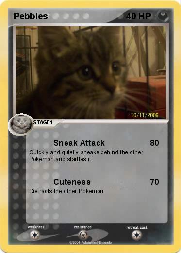 Pokemon Pebbles