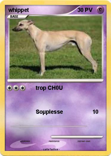 Pokemon whippet