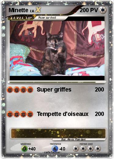 Pokemon Minette