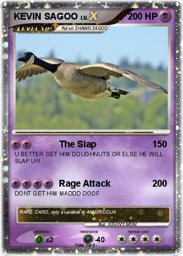 Pokemon KEVIN SAGOO