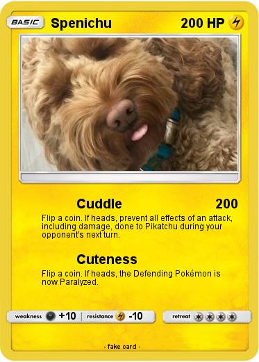 Pokemon Spenichu