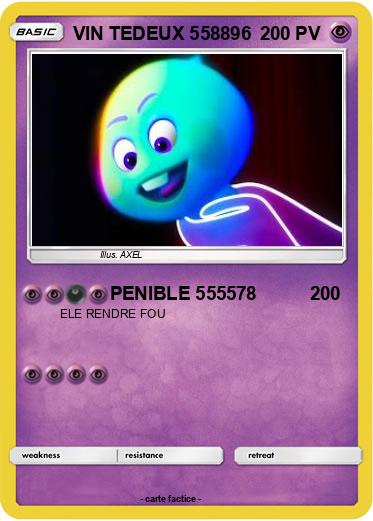 Pokemon VIN TEDEUX 558896