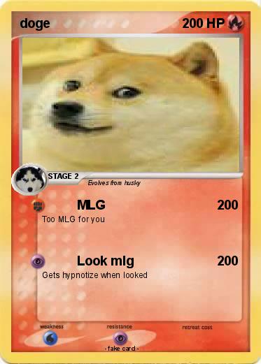 Pokemon doge