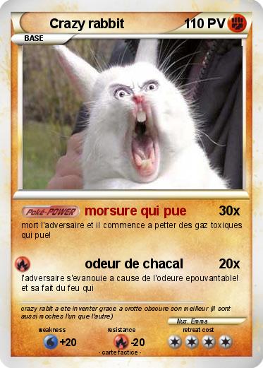 Pokemon Crazy rabbit