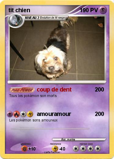 Pokemon tit chien