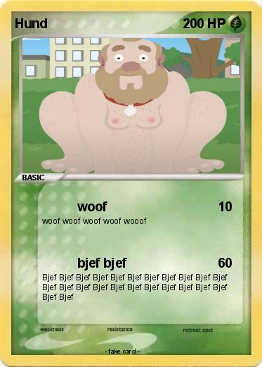 Pokemon Hund