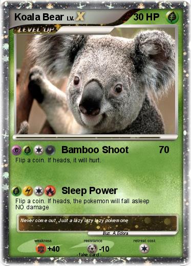 Pokemon Koala Bear