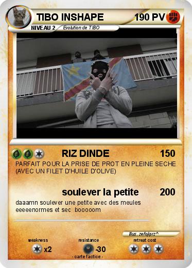 Pokemon TIBO INSHAPE