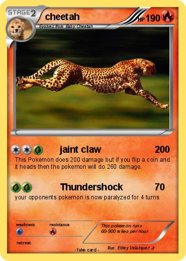 Pokemon cheetah
