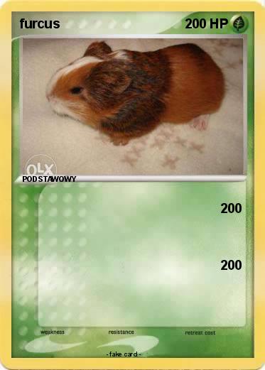 Pokemon furcus