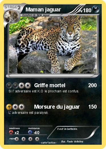 Pokemon Maman jaguar