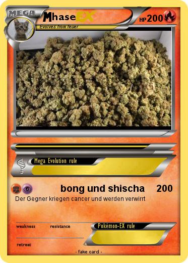 Pokemon hase