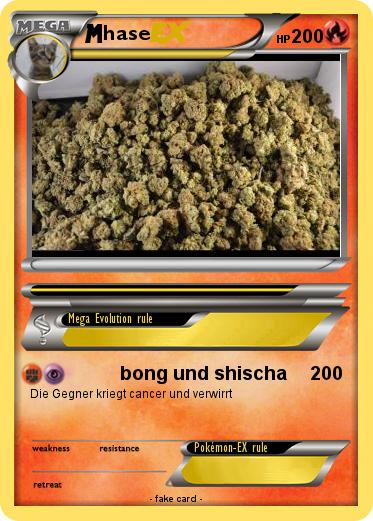 Pokemon hase