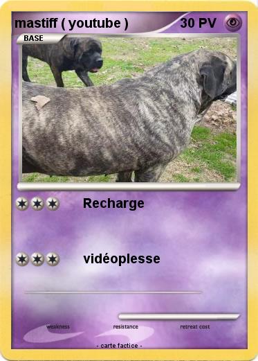 Pokemon mastiff ( youtube )