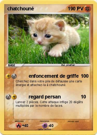 Pokemon chatchouné