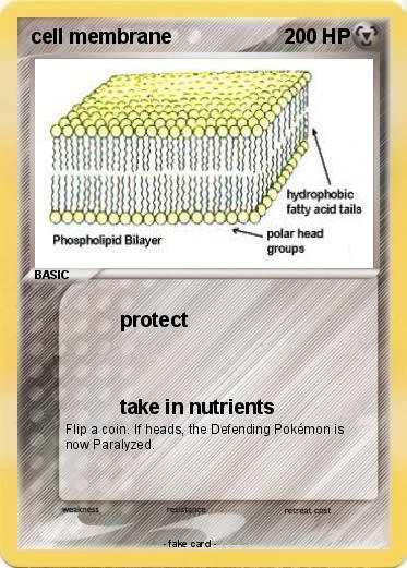 Pokemon cell membrane