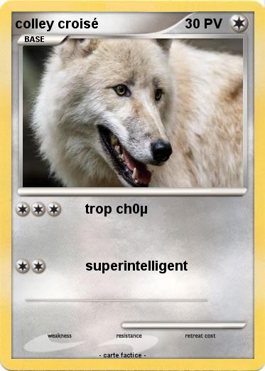 Pokemon colley croisé