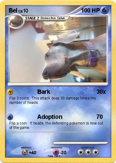 Pokemon Bel