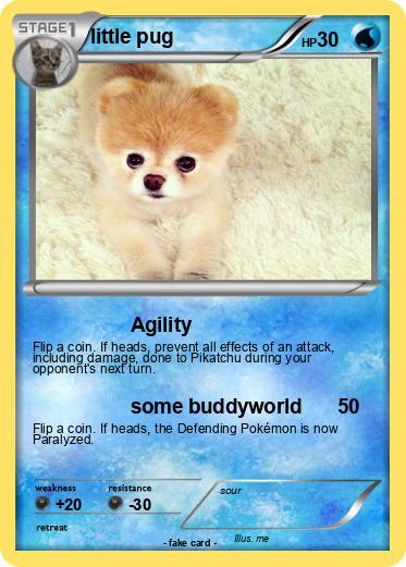 Pokemon little pug